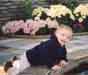 Nephew